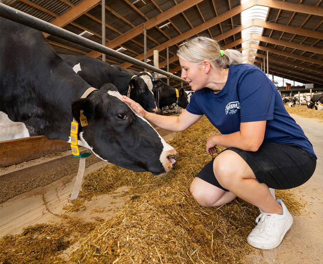 Frau Keil kniet bei einer fressenden Kuh im Stall